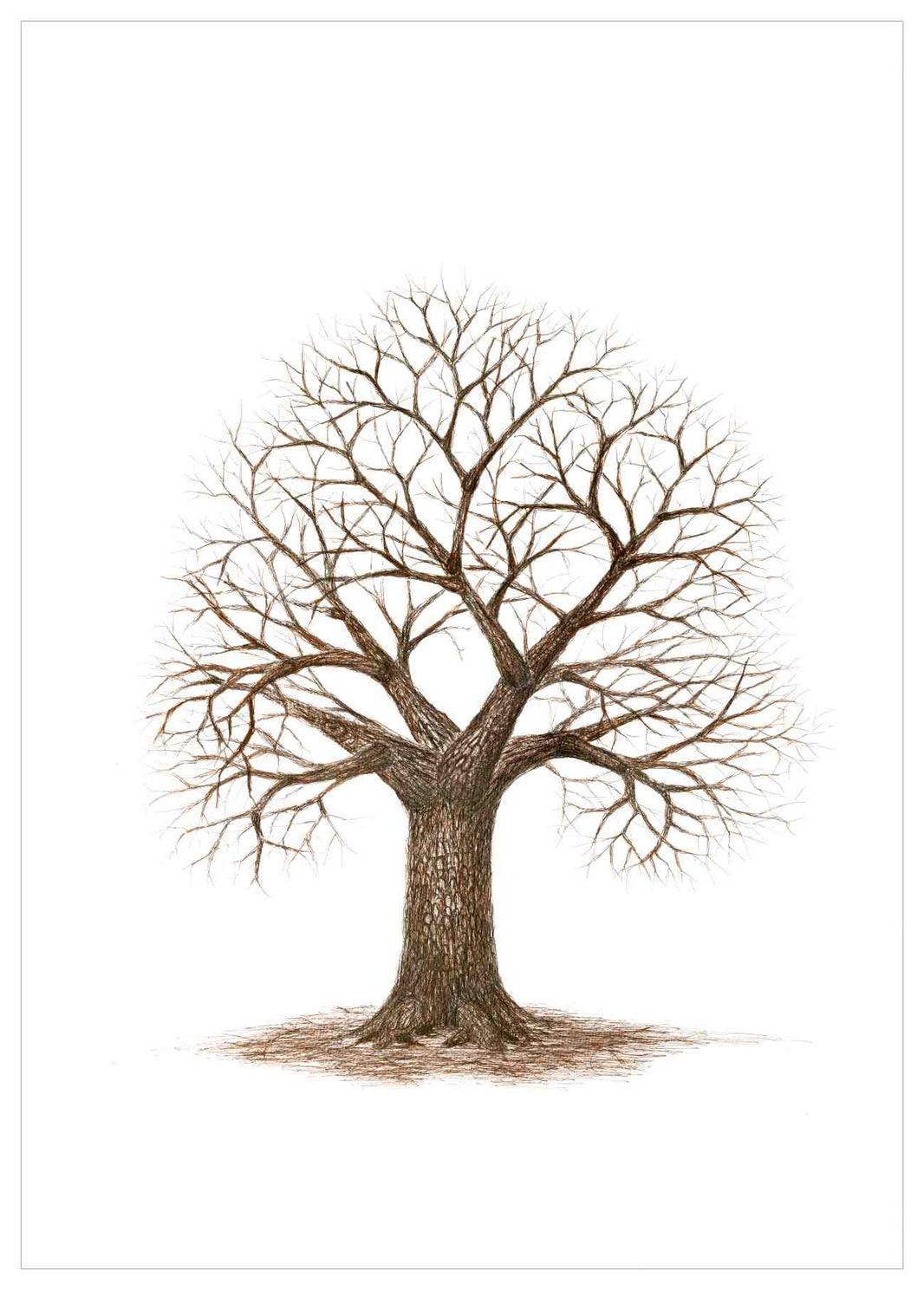 Trees – Fingerprint Trees